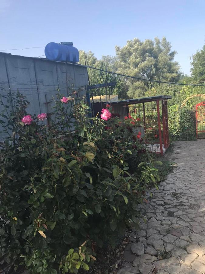 הוילה מירגורוד The Garden מראה חיצוני תמונה
